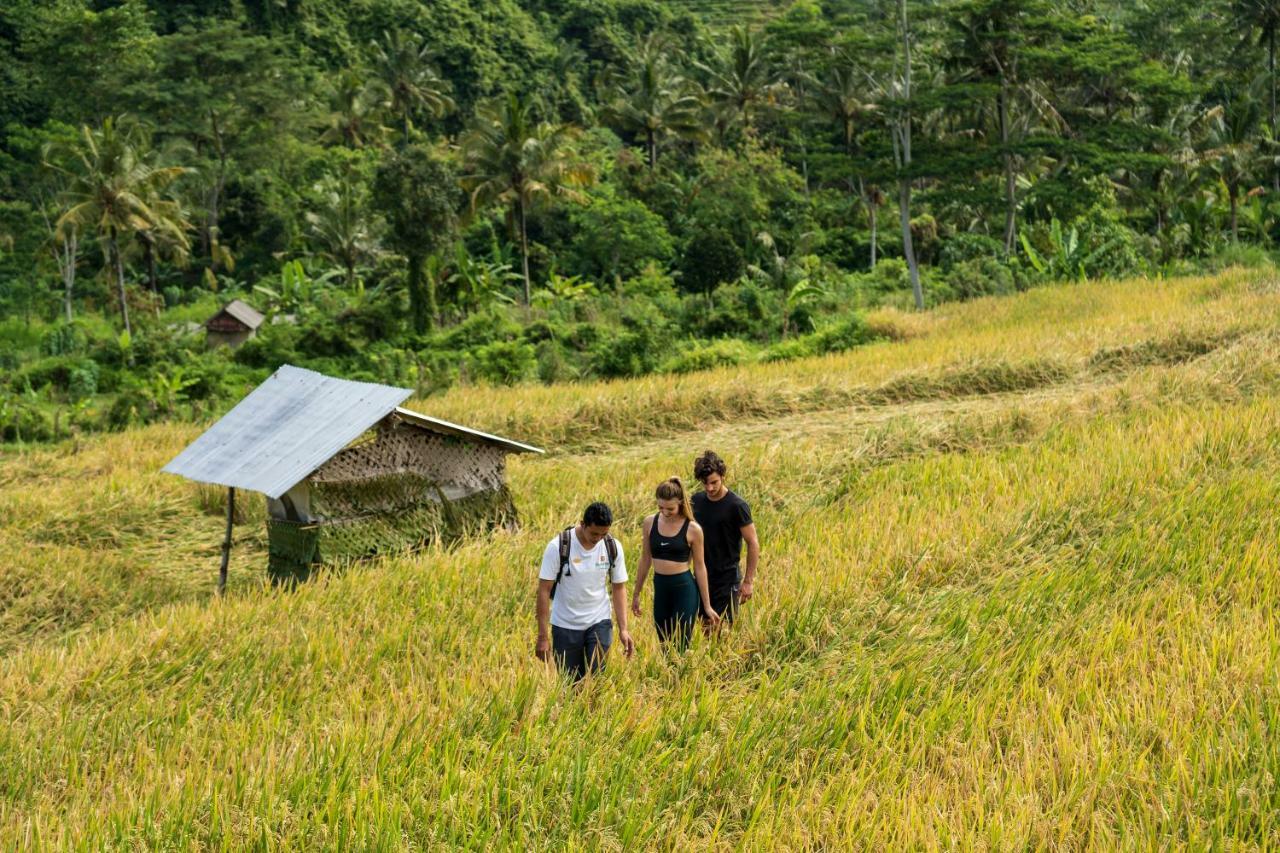 Hotel Wapa di Ume Sidemen - CHSE Certified Exterior foto A rice field in Bali